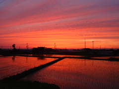 田園の夕暮れ