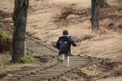 かけのぼる