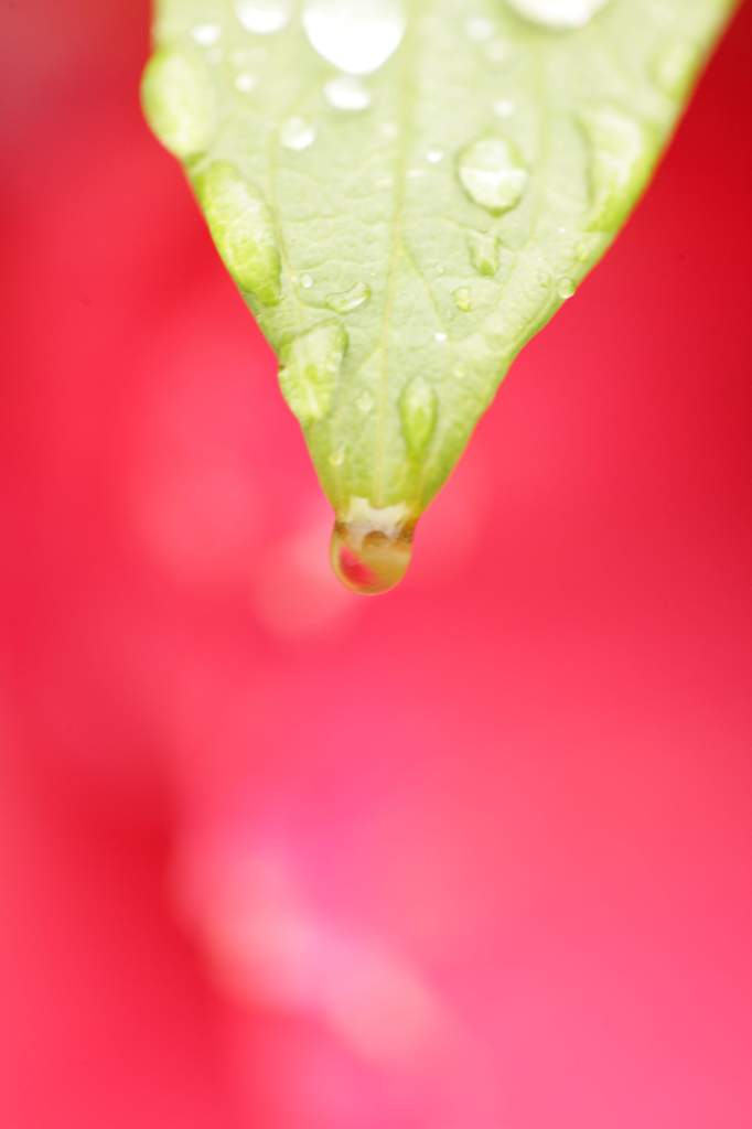 水滴