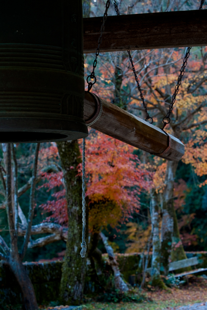 20091126-DSC09496b