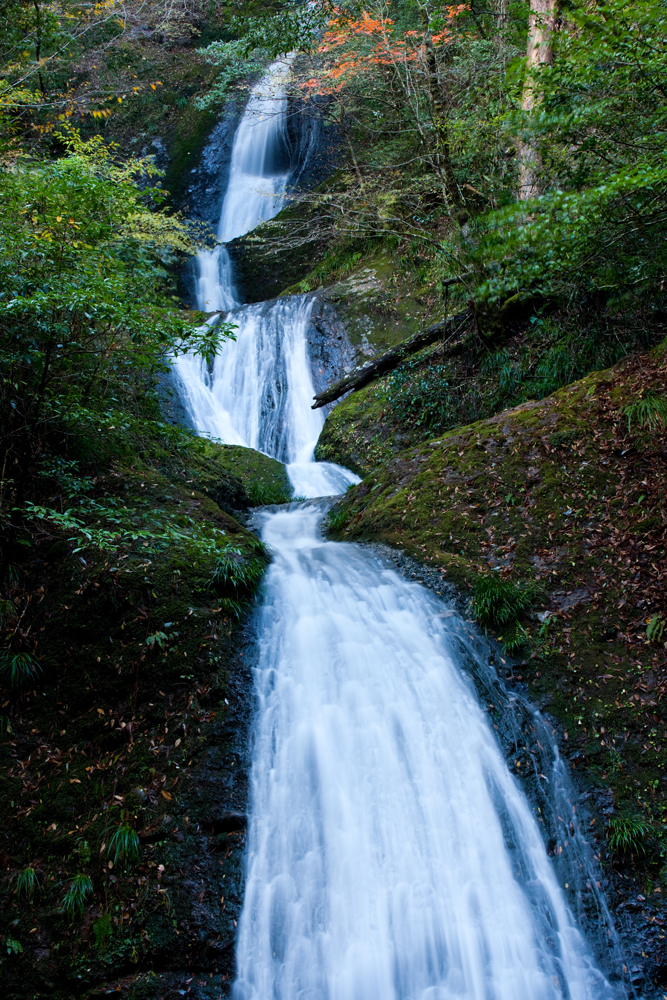 20091125-DSC09388b
