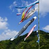 20090422-DSC00679