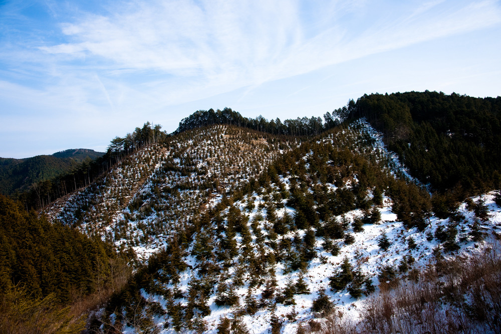 20100120-DSC01077b