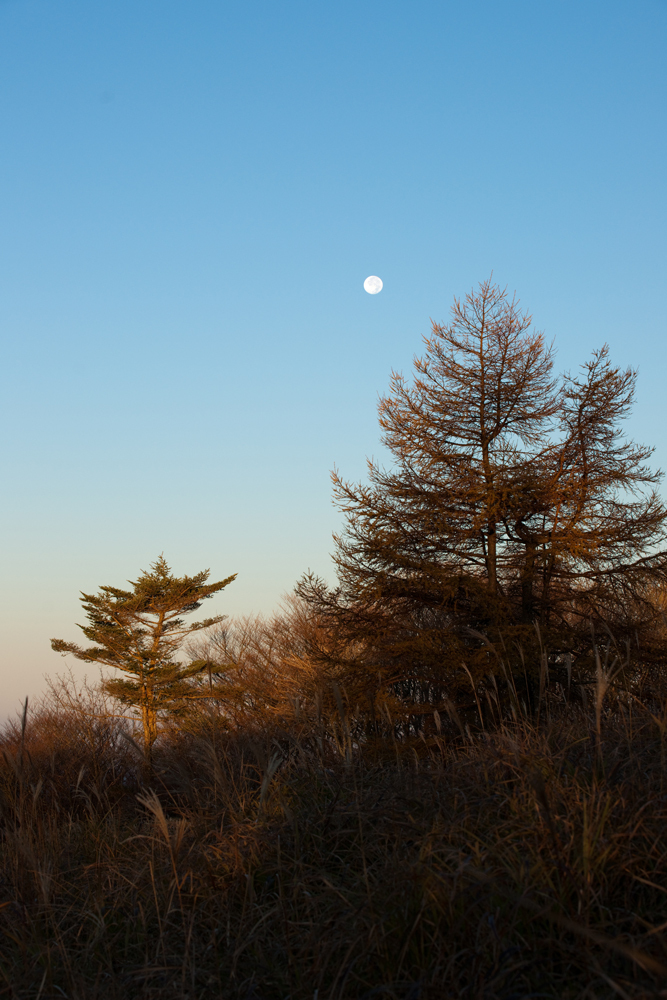 20091104-DSC08170b