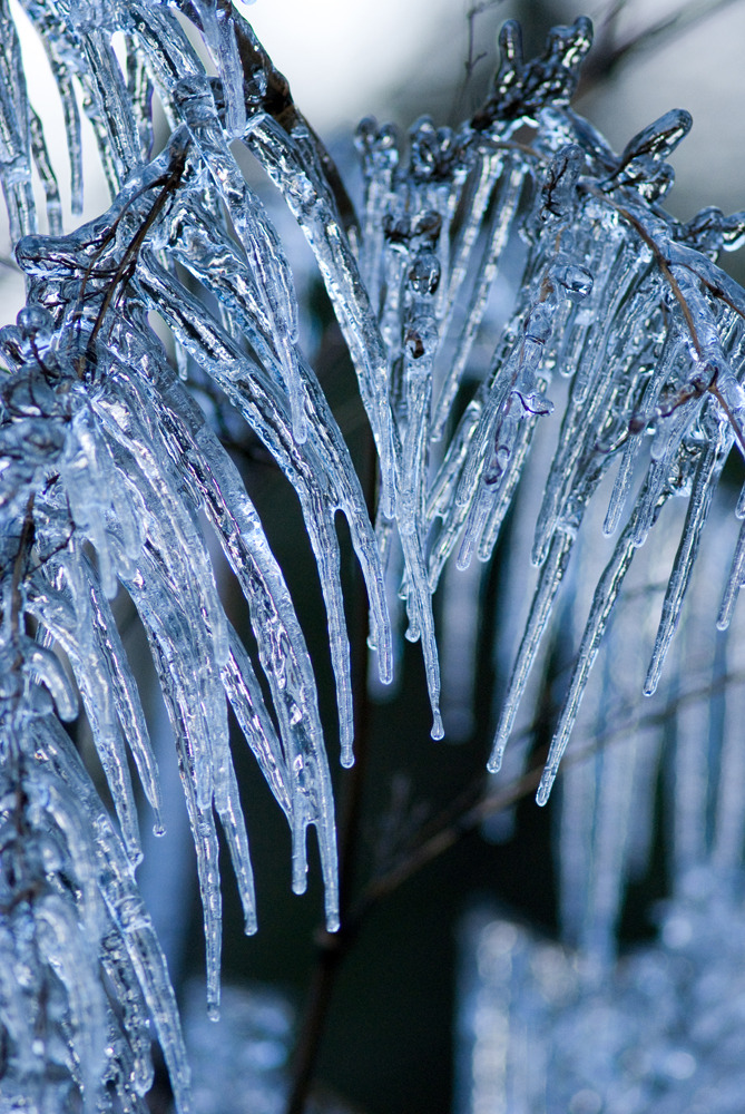 20091216-DSC00197b