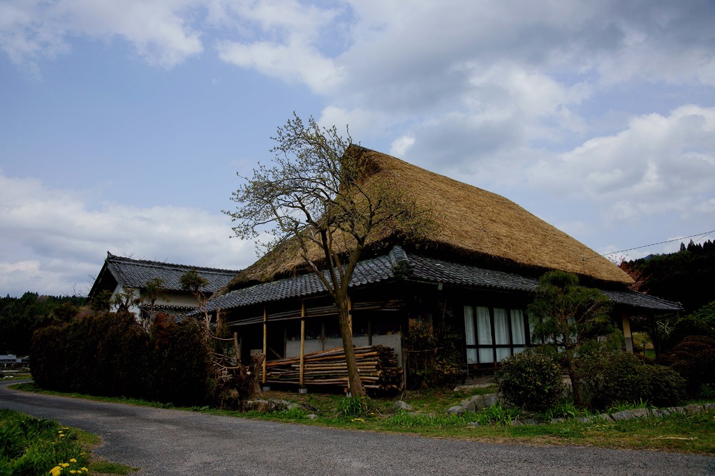 DSC00469