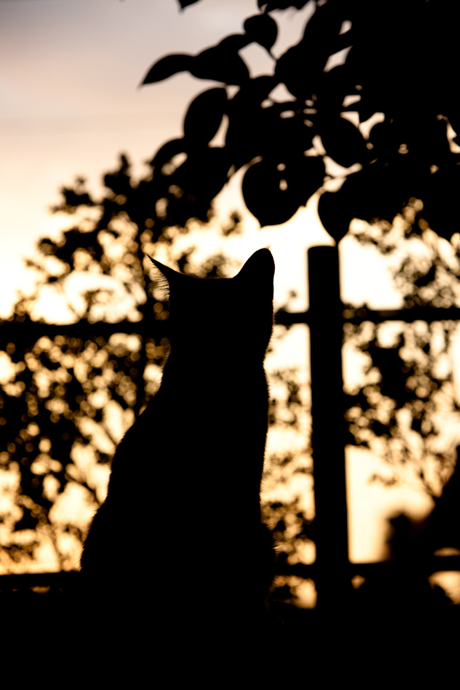 20090916-DSC05864