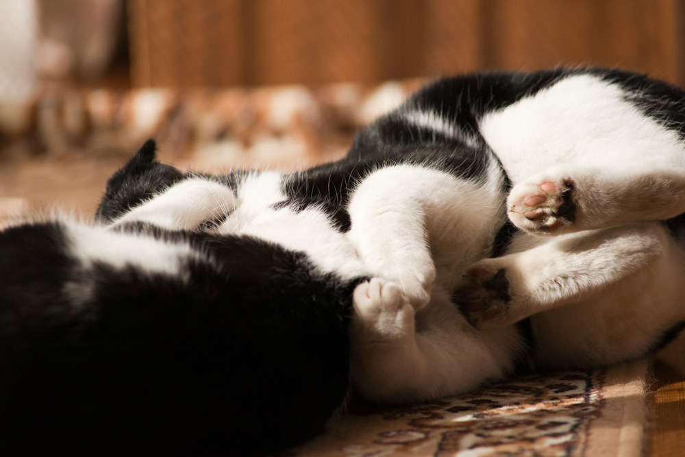 20100116-DSC01003b