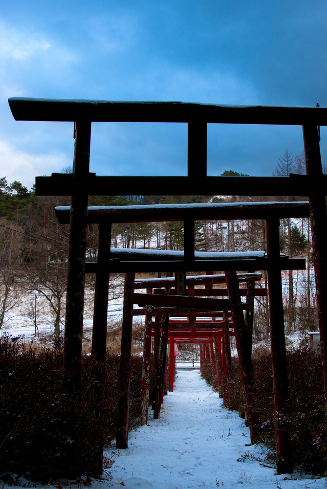 20091217-DSC00263b