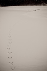 20100114-DSC00884b