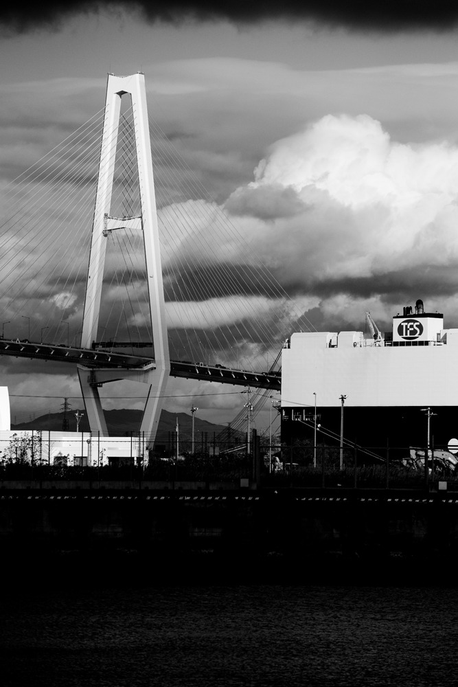 20100106-DSC00706b