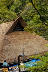 DSC00419