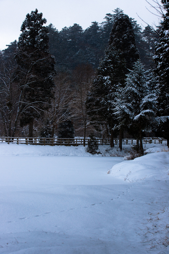 20100114-DSC00891b