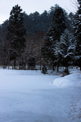 20100114-DSC00891b