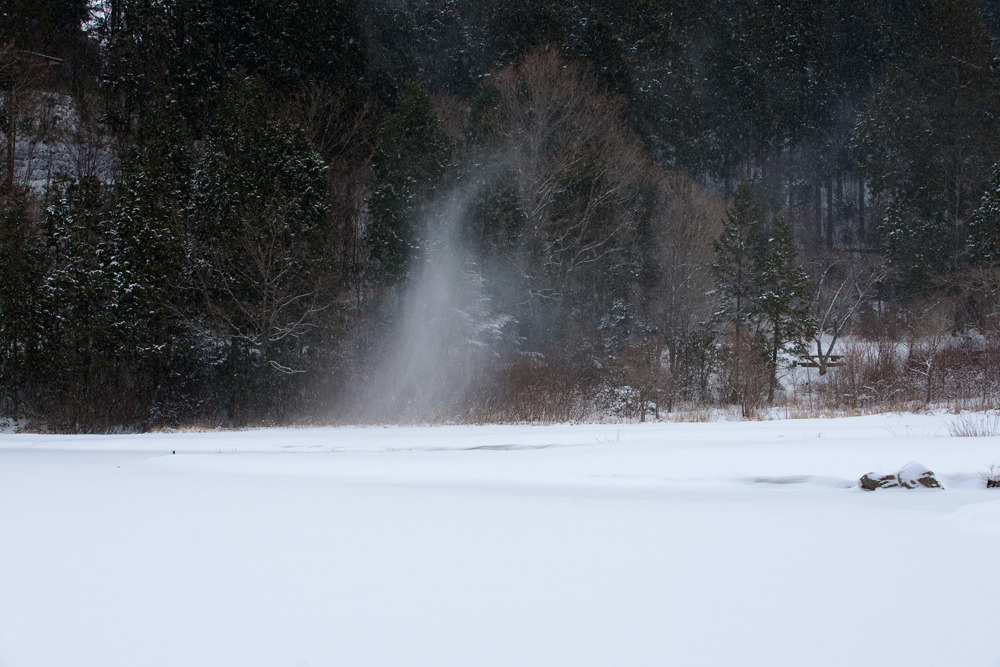 20100114-DSC00896b