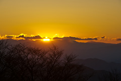 20091104-DSC08135b
