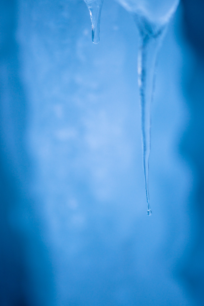 20091224-DSC00526b