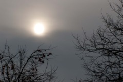 20071221-IMGP6852