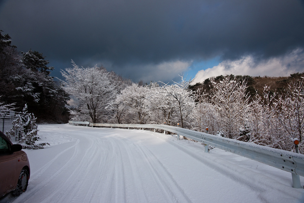 20100113-DSC00858b