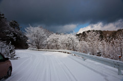 20100113-DSC00858b
