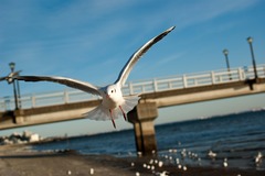 20080117-IMGP9063