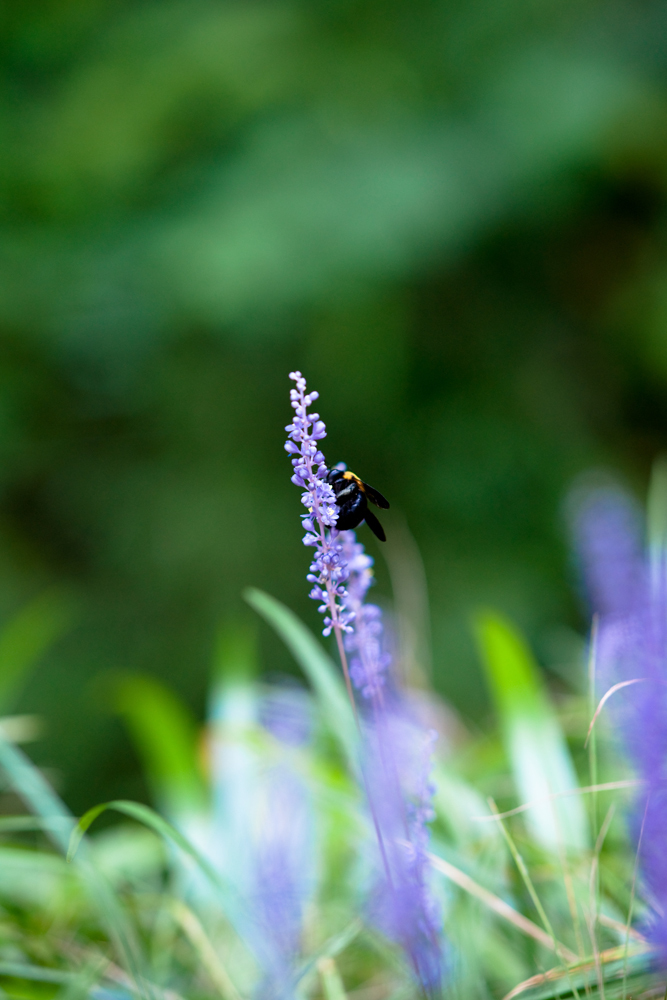 20090827-DSC05280