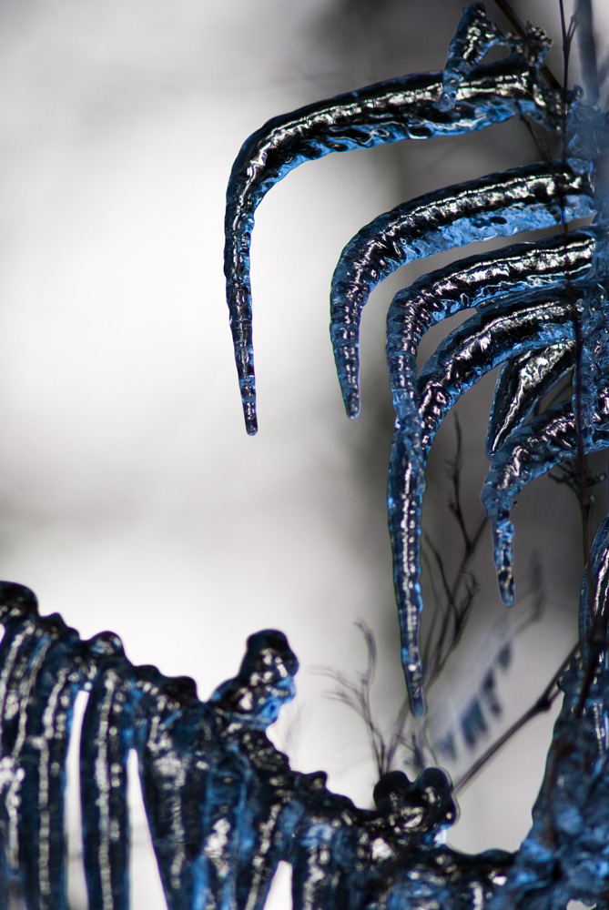 20091216-DSC00200b
