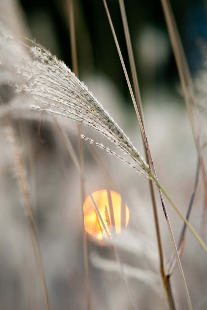 20091029-DSC07905b