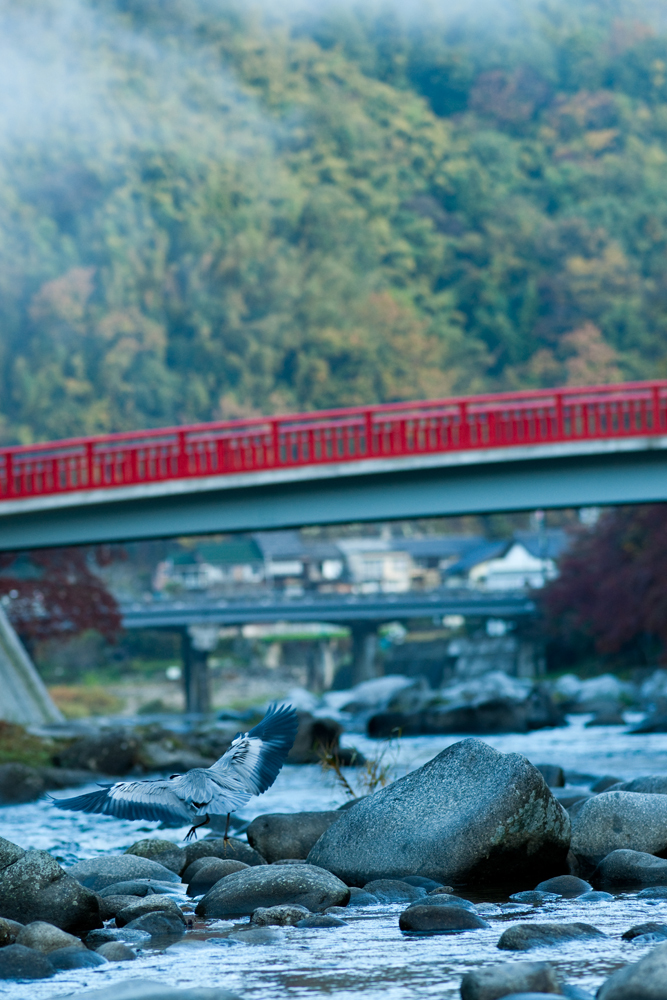 20091118-DSC09172b