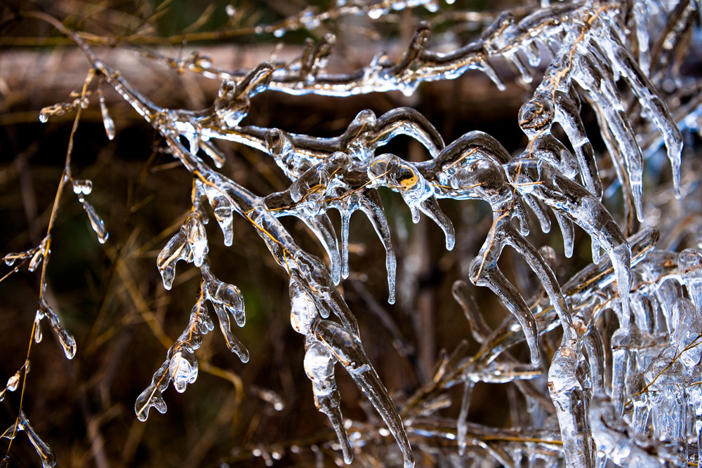 20091216-DSC00432b