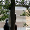 20090510-DSC01409