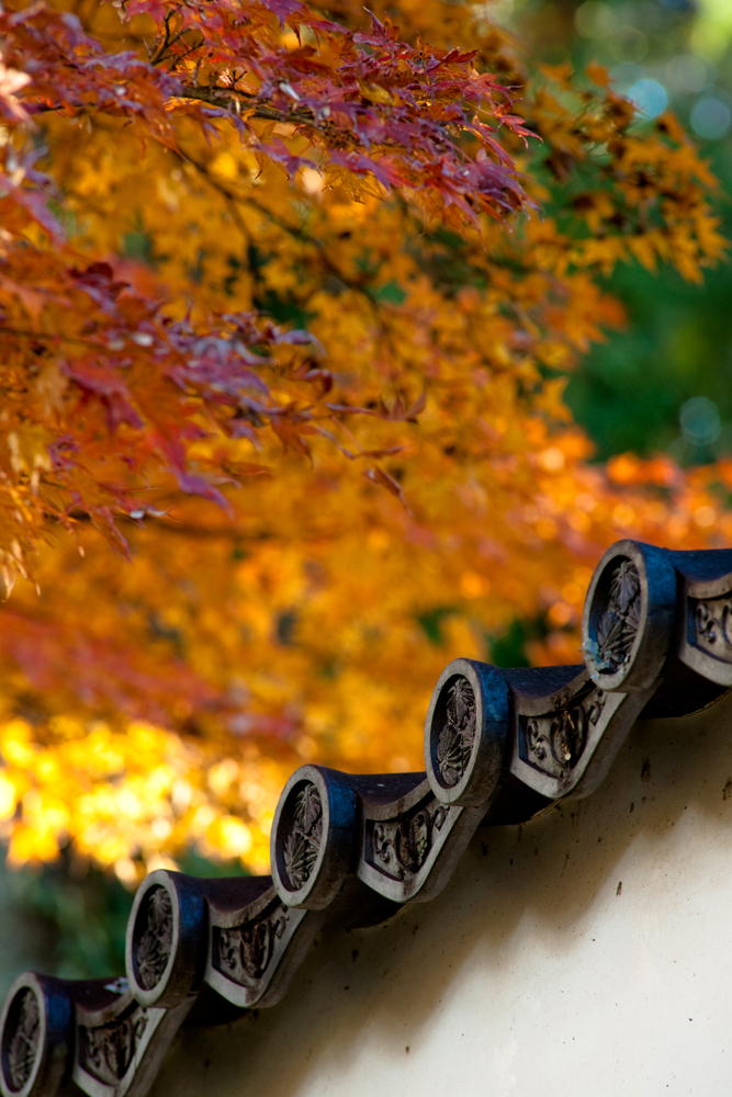 20091202-DSC09847b
