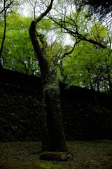 DSC00444