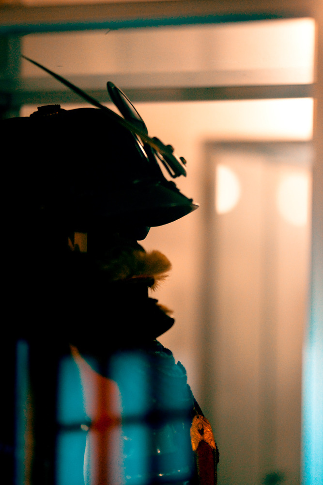 20100121-DSC01143b