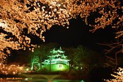 夜桜城