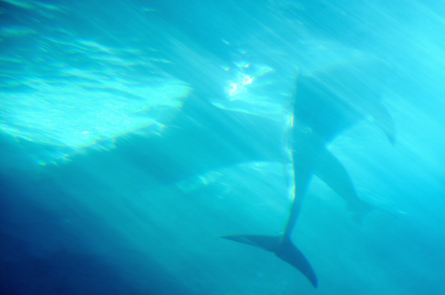 水族館