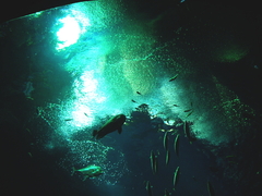 苦しくなんかない。