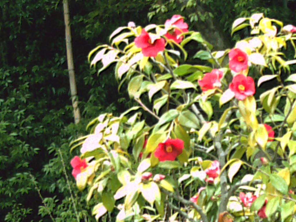 PICT0017