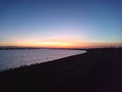 上がりたい、上がりたい。