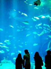 その手をいつまでも繋いでいられるように。