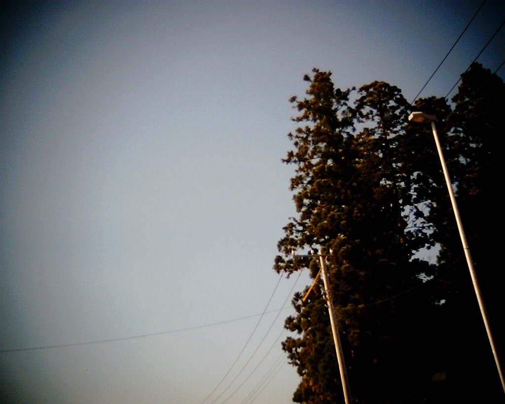 オチバチュウイ