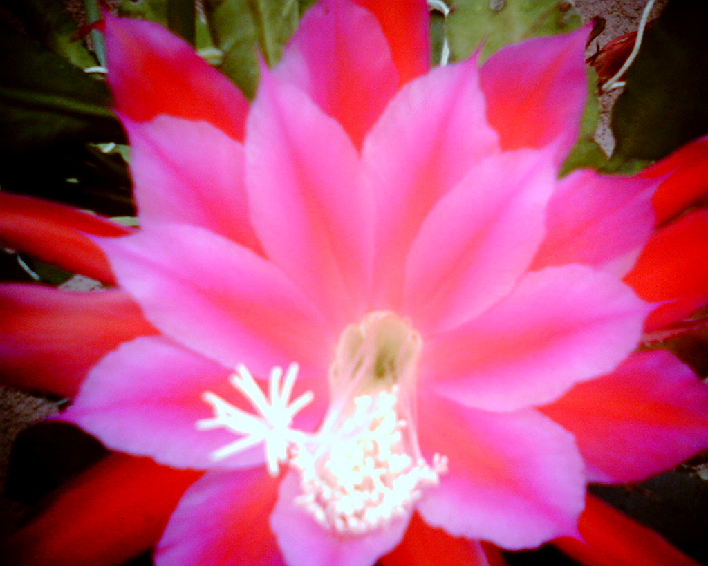 2009-06--2
