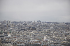 _DSC0036