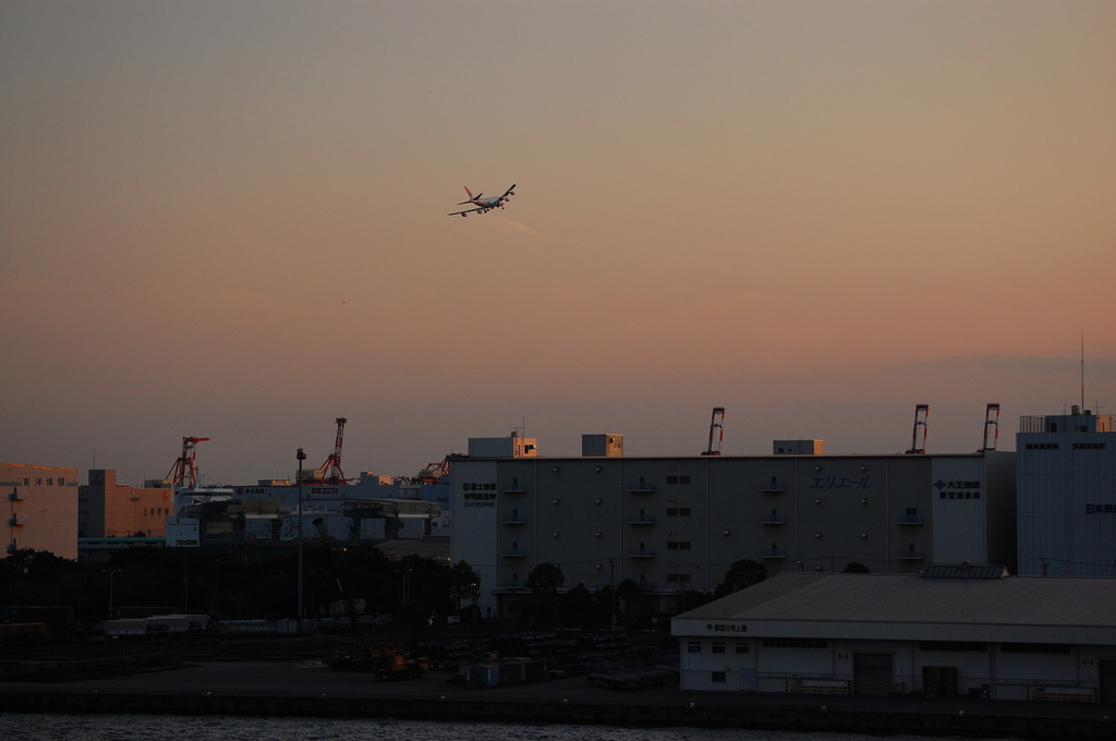 帰巣