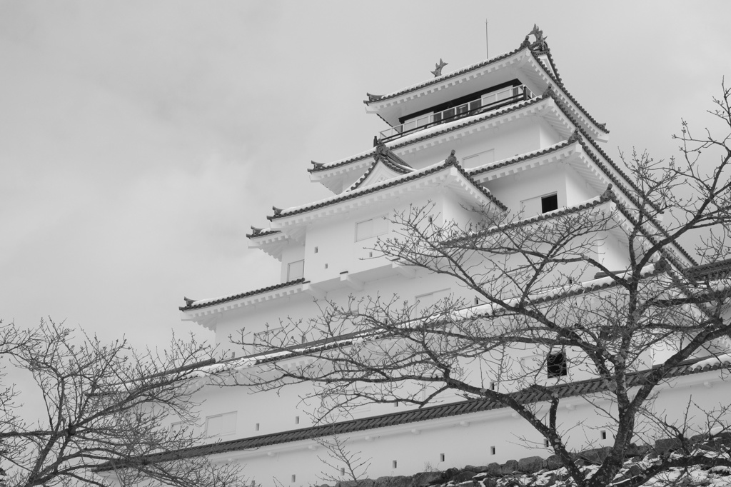 ズミクロン 35mm f2 ／ 鶴ヶ城