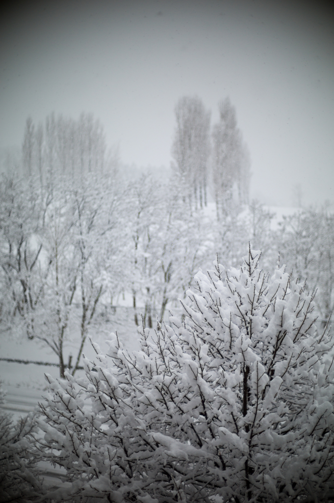 雪景色