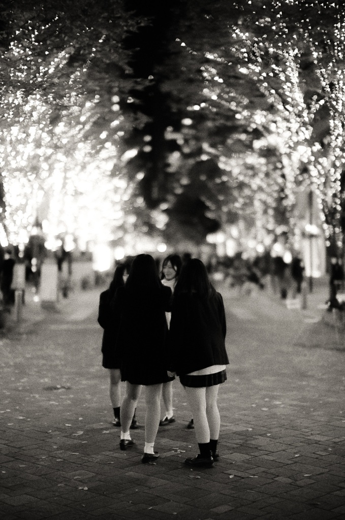 一年の振り返り⑤