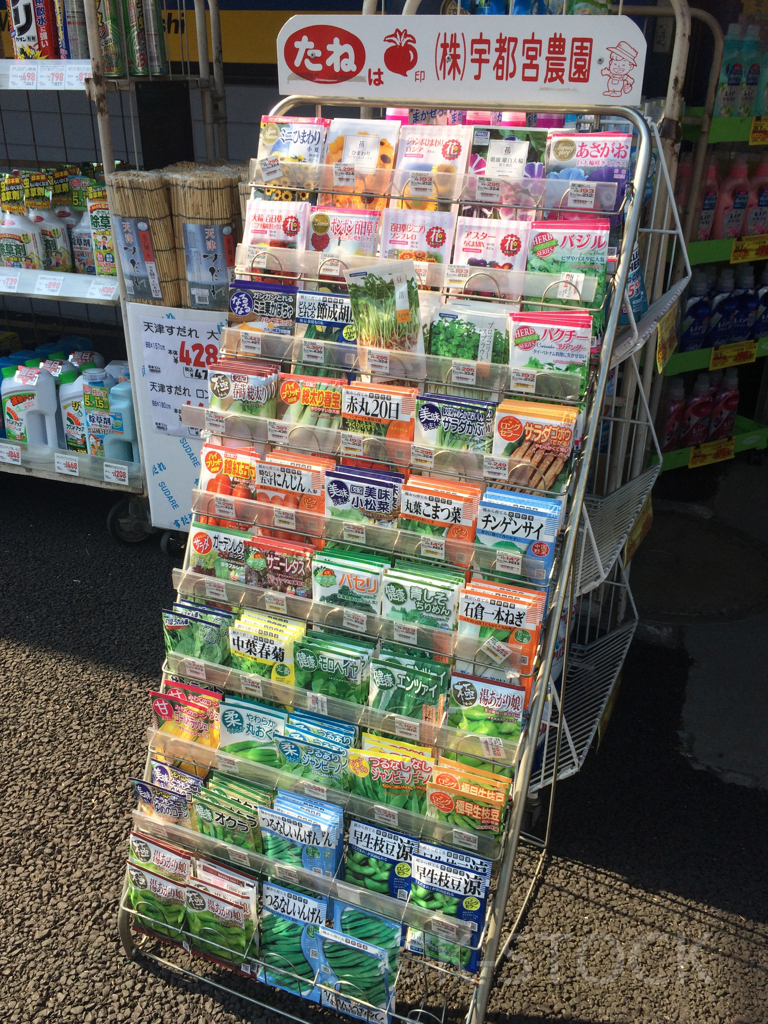 おうちゴールデンウィーク