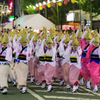 南越谷阿波踊り