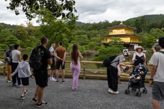 金閣寺